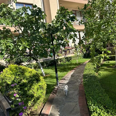 Sorrento E 1 2 *