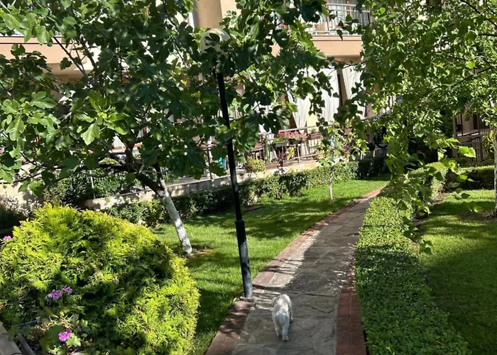Sorrento E 1 2 *